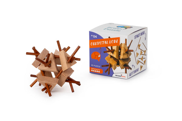 Brain Puzzle N04: Occipital Lobe